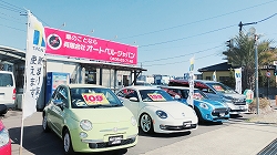 サンプル画像